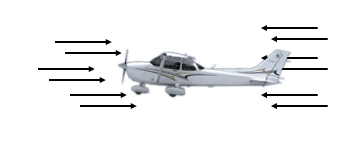 cargas dinamicas vertical